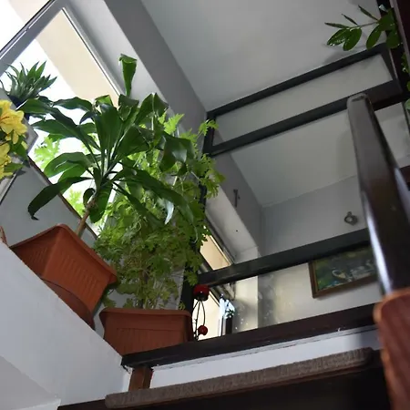 Hostal Baltic